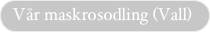 Vår maskrosodling (Vall)